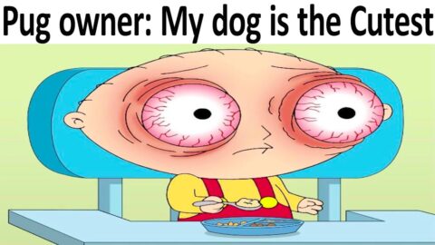 DANK DOODLE MEMES V856