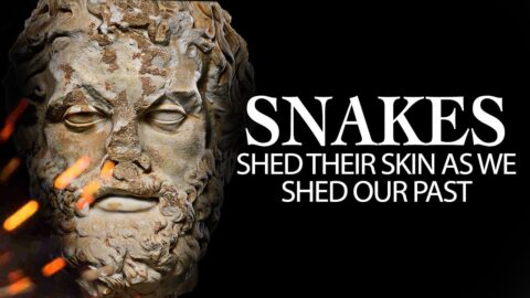 MENTAL TOUGHNESS – Stoic Quotes – Life Changing Inspiring Quotes