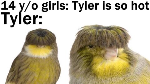 Daily Juicy Memes 659