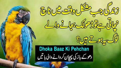 Heart Touching Quotes In Urdu | Quotes About Love In Hindi | Qeemti Batain | Quotes Status In Urdu