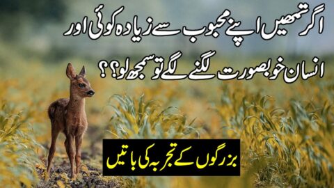 Beautiful Urdu Quotes | Heart Touching Quotes In Urdu | Aqwal E zareen | Quotes About Life In Hindi