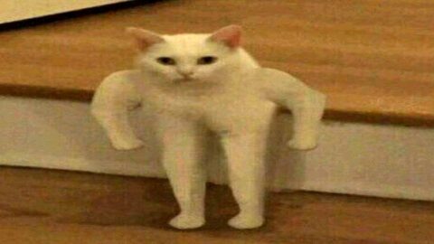 memes, but if you laugh you do 10 Push-Ups