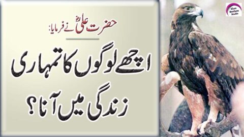 Amazing Quotes In Urdu | Rj Shan Ali | Hazrat Ali Quotation | Hazrat Ali Ne Farmaya | Hazrat Ali Qol