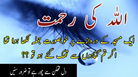 ALLAH ki Rehmat Quotes | Quotes about Allah and His Mercy In Urdu | Urdu Quotes | Laila Ayat Ahmad