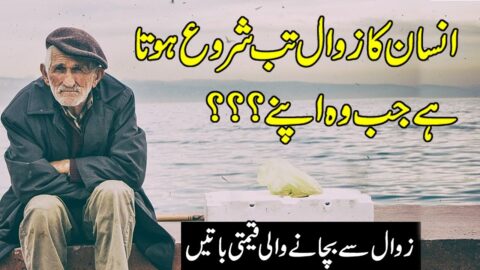 Heart Touching Quotes In Urdu | Aqwal E Zareen | Quotes About Life In Hindi | Golden Words In Hindi
