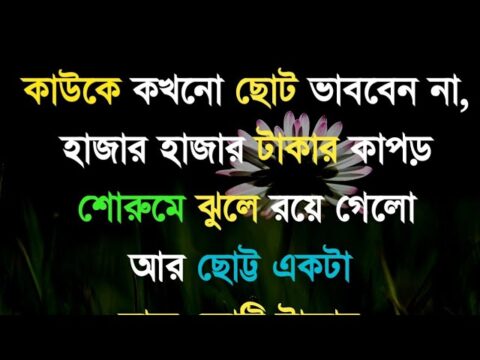 Best motivational quotes in Bangla || Monishider bani|| Heart touching quotes|| Ukti||Khela hobe