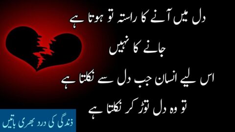 Amazing Deep Heart Touching Sad Urdu Quotes about Life | Heart Touching Quotes | Laila Ayat Ahmad