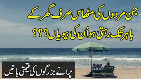 Aqwal E Zareen | Golden Words In Urdu | Quotes | Motivational Urdu Quotes | Hindi Love Quotes