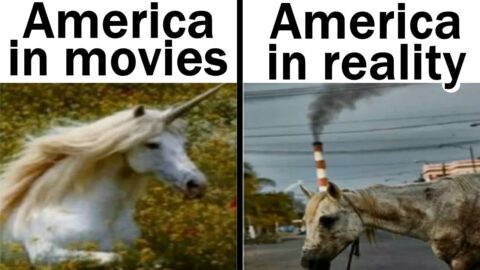 Daily Juicy Memes 709