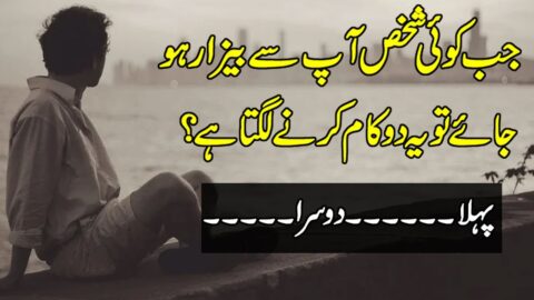 Urdu Quotes | Quotes About Life In Urdu | Motivational Quotes In Hindi | Urdu Hindi Quotes Status