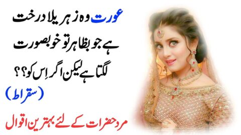 Most Beautiful Hindi Quotes | Heart Touching Quotes In Urdu |Quotes For Love | Famous Quotes In Urdu