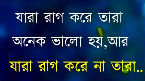 Heart Touching Motivational Love quotes in Bangla | Motivational Love Quotes | যারা রাগ করে না তারা.