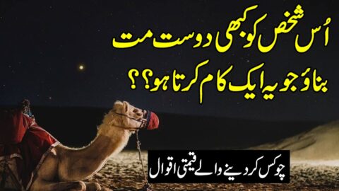 Zubair Maqsood Special Urdu Quotes | Urdu Quotes | Aaqwl e Zareen | Hindi Quotes Status | Quotes New