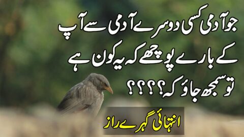 Urdu Quotes | Heart Touching Urdu Quotes | Life Changing Urdu Quotes | Motivational Hindi Quotes