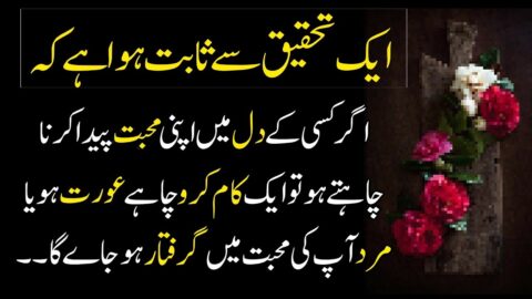 Kisi ke Dil Me Mohabat | Love ❤️ Quotes | Heart Touching Lines|Urdu Best Quotes |