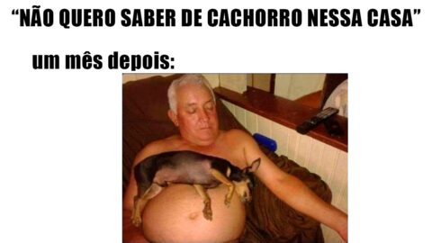 30 MINUTOS DE MELHORES MEMES EM IMAGENS – MEU PAI || #47