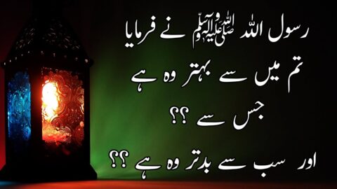 Islamic Quotes Collection | Religious Quotes| Spiritual Quotes| Hadees Quotes| Inspirational Quotes
