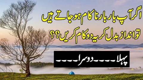 Beautiful Quotes Ever | Amazing Collection Of Urdu Quotes | Aqwal E zareen | Hindi Love Quotes