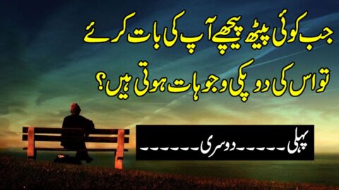Heart Touching Urdu Quotes | Life Changing Urdu Quotes | Hindi Love Quotes | Aqwal E zareen Statu