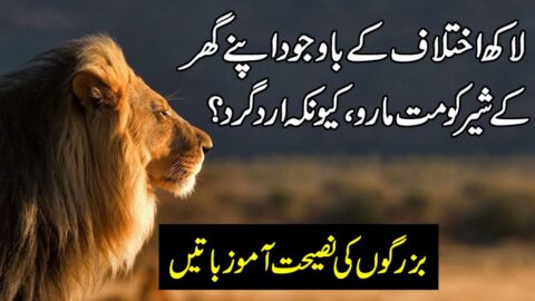 Beautiful Urdu Quotes | Golden Words In Urdu | Hindi Quotes | Motivational Urdu Quotes | Urdu Quotes