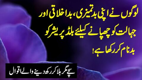 Heart Touching Quotes | Beautiful Urdu Quotes | Quotes About Life In Urdu |Motivational Hindi Quotes
