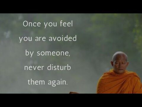 Life Changing Buddha Quotes | Life Changing Quotes | Buddha Quotes | Buddha | Quotes