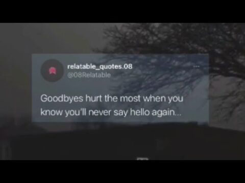 Sad Aesthetic Quotes 💔
