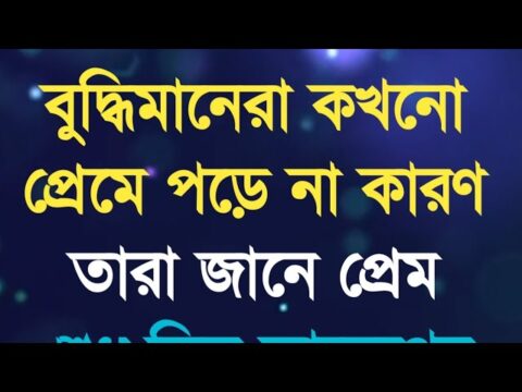 বুদ্ধিমানেরা প্রেমে পড়ে না কারণ..||Heart touching motivational quotes in Bangla||Emotional status