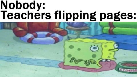 Daily Juicy Memes 798