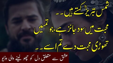 Kia Mohabbat Allah Se Milwa Deti Hai| Heart Touching Urdu Quotes about Ishq | Deep Quotes about Love
