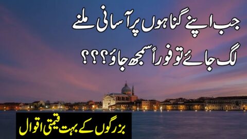 Jb Gunah Pr Aasani Mily To Samjh Jao | Urdu Quotes| Life Changing Quotes|Motivational Hindi Quotes |