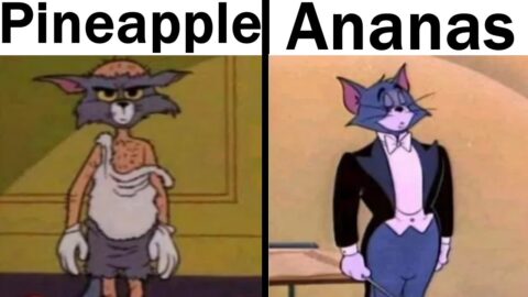 Daily Juicy Memes 808