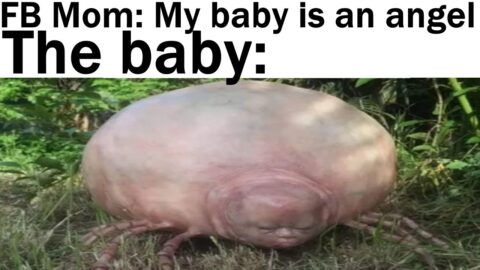 Daily Juicy Memes 820