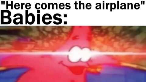 Daily Juicy Memes 827