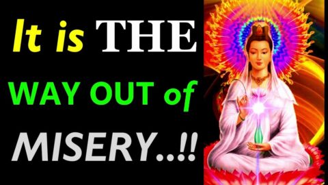 If YOU Can’t DO Anything ABOUT IT…!!! Buddha Quotes on Misery | Buddhism on Misery | Misery Quotes