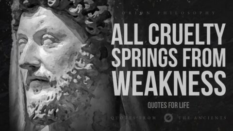 THE UNSHAKEABLE MINDSET – Greatest Stoic Quotes