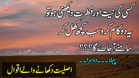 Urdu Quotes | Quotes About Fitrat | Golden Words In Urdu | Life Changing Quotes | Aqwal e Zareen