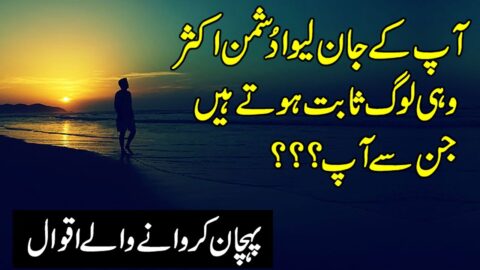 Ap Ka Jan Leva Dushman Kon | Urdu Quotes | Hindi Quotes About Life | Aqwal e Zareen | Quotes Status