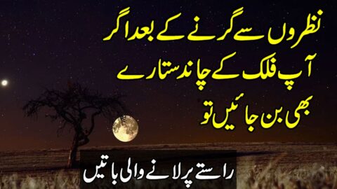 Nazro Se Girne Ke Baad | Qeemti Baatein | Heart Touching Urdu Quotes | Life Changing Quotes In Hindi