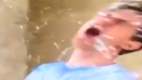 Perfectly Cut Screams Memes 62