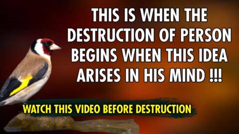 Life Changing Motivational Quotes & Lessons | Motivational Quotes