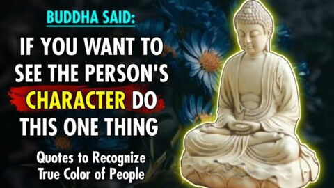 Buddha Quotes that tell a lot about our Life