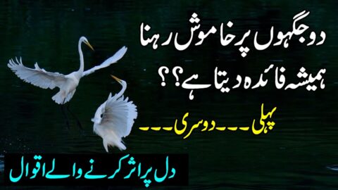 Golden Words In Urdu | Heart Touching Quotes In Urdu | Sunehri Aqwal | New Hindi Quotes | Status