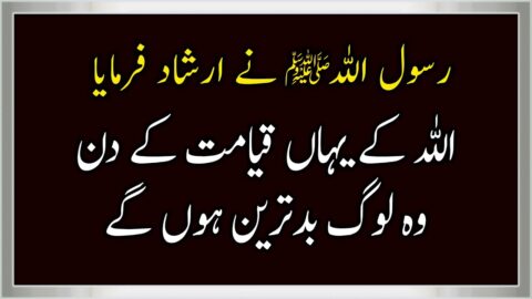 Best Collection of Urdu Quotes || Best Amazing Quotes || Best Urdu Heart Touching Quotes