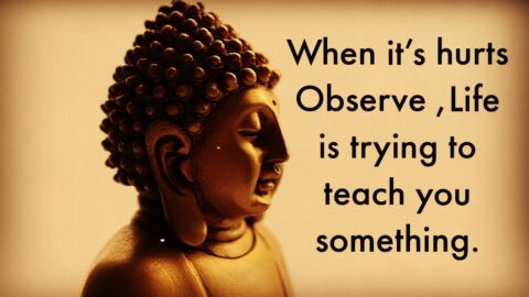 Some of the best life quotes | Words of wisdom |