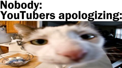 Daily Juicy Memes 909 + 910