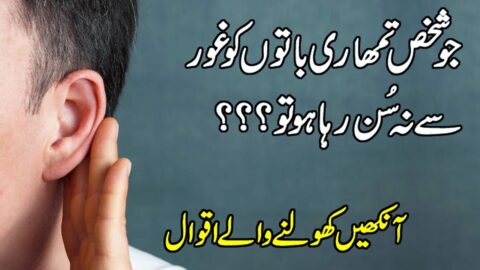 Golden Words In Urdu | Quotes About Love In Hindi | Quotes About Friend Ship | Aqwal e zareen urdu