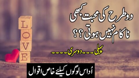 Quotes About Love In Hindi | Urdu Quotes | Motivational Quotes In Urdu & Hindi | Quotes Status