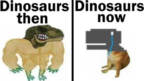Daily Juicy Memes 913