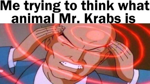 Daily Juicy Memes 926